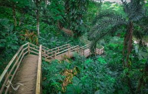 Sendero de Tutunendo